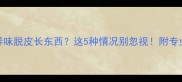 猫咪脚垫异味脱皮长东西这5种情况别忽视附专业护理指南