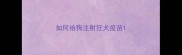 如何给狗注射狂犬疫苗