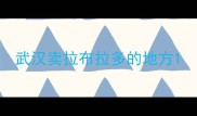 武汉卖拉布拉多的地方