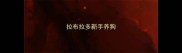 拉布拉多新手养狗