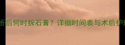 泰迪犬骨折后何时拆石膏详细时间表与术后护理全指南
