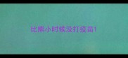 比熊小时候没打疫苗