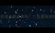 边牧小型犬真的适合新手养吗这篇保姆级指南请收好