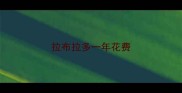拉布拉多一年花费