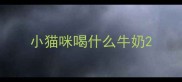 小猫咪喝什么牛奶