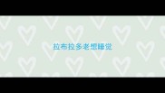 拉布拉多老想睡觉