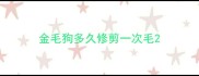 金毛狗多久修剪一次毛