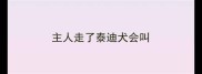 主人走了泰迪犬会叫