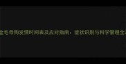 金毛母狗发情时间表及应对指南症状识别与科学管理全