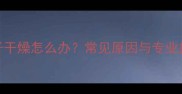 狗狗鼻子干燥怎么办常见原因与专业护理指南