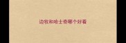 边牧和哈士奇哪个好看