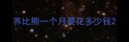 养比熊一个月要花多少钱