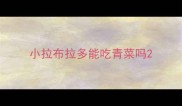 小拉布拉多能吃青菜吗