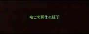哈士奇用什么链子