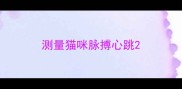 测量猫咪脉搏心跳