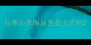 拉布拉多眼屎多是上火吗
