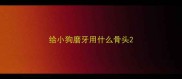 给小狗磨牙用什么骨头