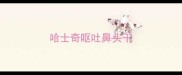 哈士奇呕吐鼻头干