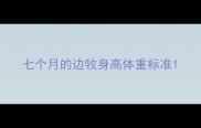 七个月的边牧身高体重标准