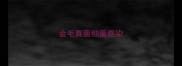 金毛真菌细菌感染