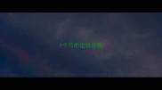 9个月的边牧出售