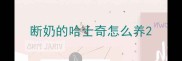 断奶的哈士奇怎么养