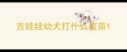吉娃娃幼犬打什么疫苗