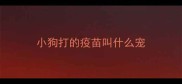 小狗打的疫苗叫什么宠