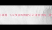 科学应对犬只掉毛难题5大维度狗狗脱毛治理全攻略附权威护理方案