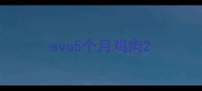 evo5个月鸡肉