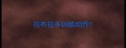 拉布拉多训练动作