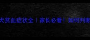 哈士奇幼犬贫血症状全家长必看如何判断并应对