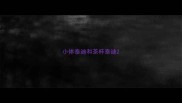 小体泰迪和茶杯泰迪