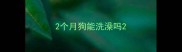 2个月狗能洗澡吗