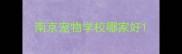 南京宠物学校哪家好