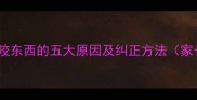 边境牧羊犬爱咬东西的五大原因及纠正方法家长必读指南