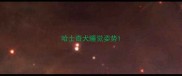 哈士奇犬睡觉姿势
