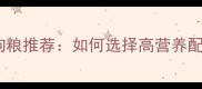 黑泰迪犬专用狗粮推荐如何选择高营养配方与常见误区