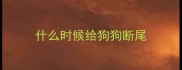 什么时候给狗狗断尾