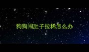 狗狗闹肚子拉稀怎么办