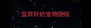 宜宾好的宠物医院