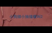小狗细小抽搐嚎叫