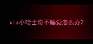 xia小哈士奇不睡觉怎么办