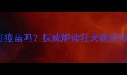 宠物狗咬人后必须打疫苗吗权威解读狂犬病预防与疫苗接种全流程