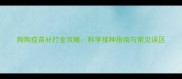 狗狗疫苗补打全攻略科学接种指南与常见误区