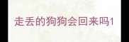 走丢的狗狗会回来吗