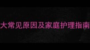狗狗咳嗽怎么办7大常见原因及家庭护理指南附症状对比表