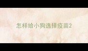 怎样给小狗选择疫苗