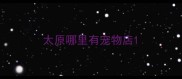 太原哪里有宠物店