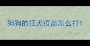 狗狗的狂犬疫苗怎么打